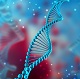 MDSGene Tool MDSGene Tool