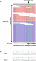 Integrated genomic viewer (IGV) snapshot