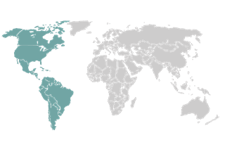 Pan American Section Pan American Section