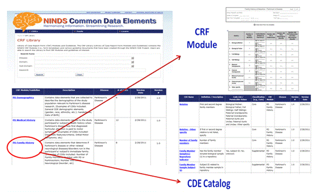 NINDS Common Data Elements Workflow NINDS Common Data Elements Workflow