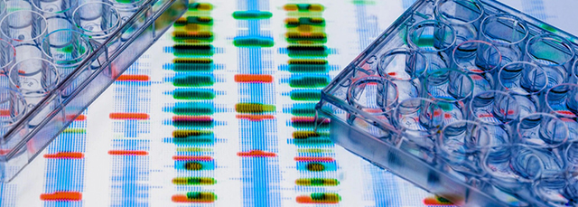 Summary of “The Role of Levodopa Challenge in Predicting the Outcome of Subthalamic Deep Brain Stimulation”